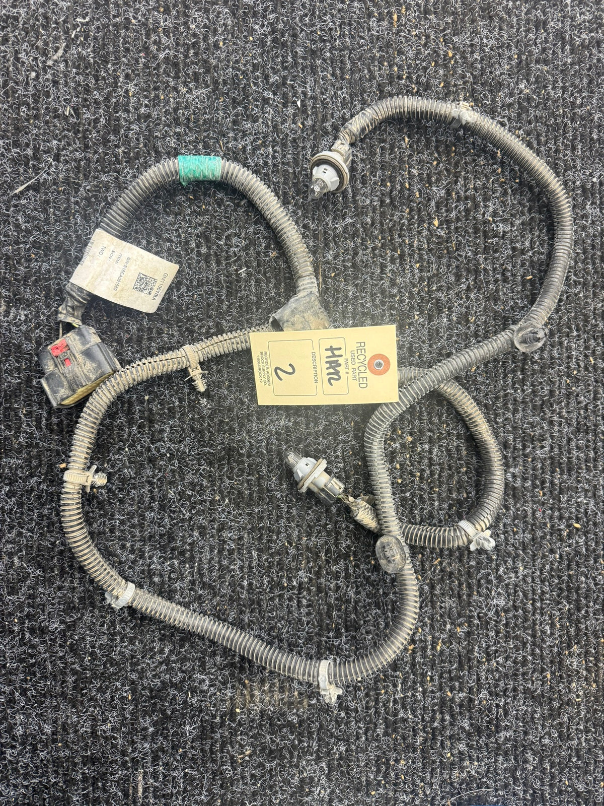 2023-2025 Silverado Sierra License Plate Light Wiring Harness OEM GM1100WBA
