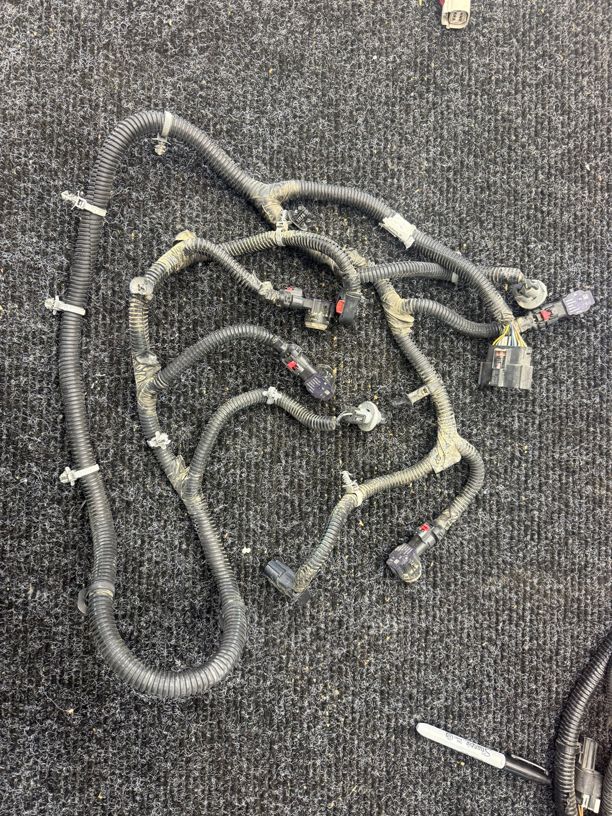 21-25 Silverado Sierra Rear Bumper Wiring Harness w/ Parking Sensors OEM