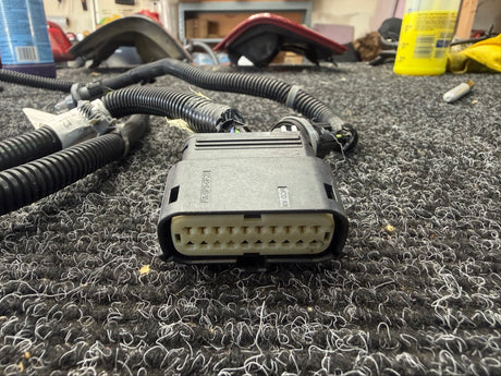 2023-2025 Silverado Sierra License Plate Light Wiring Harness OEM GM2250WCA