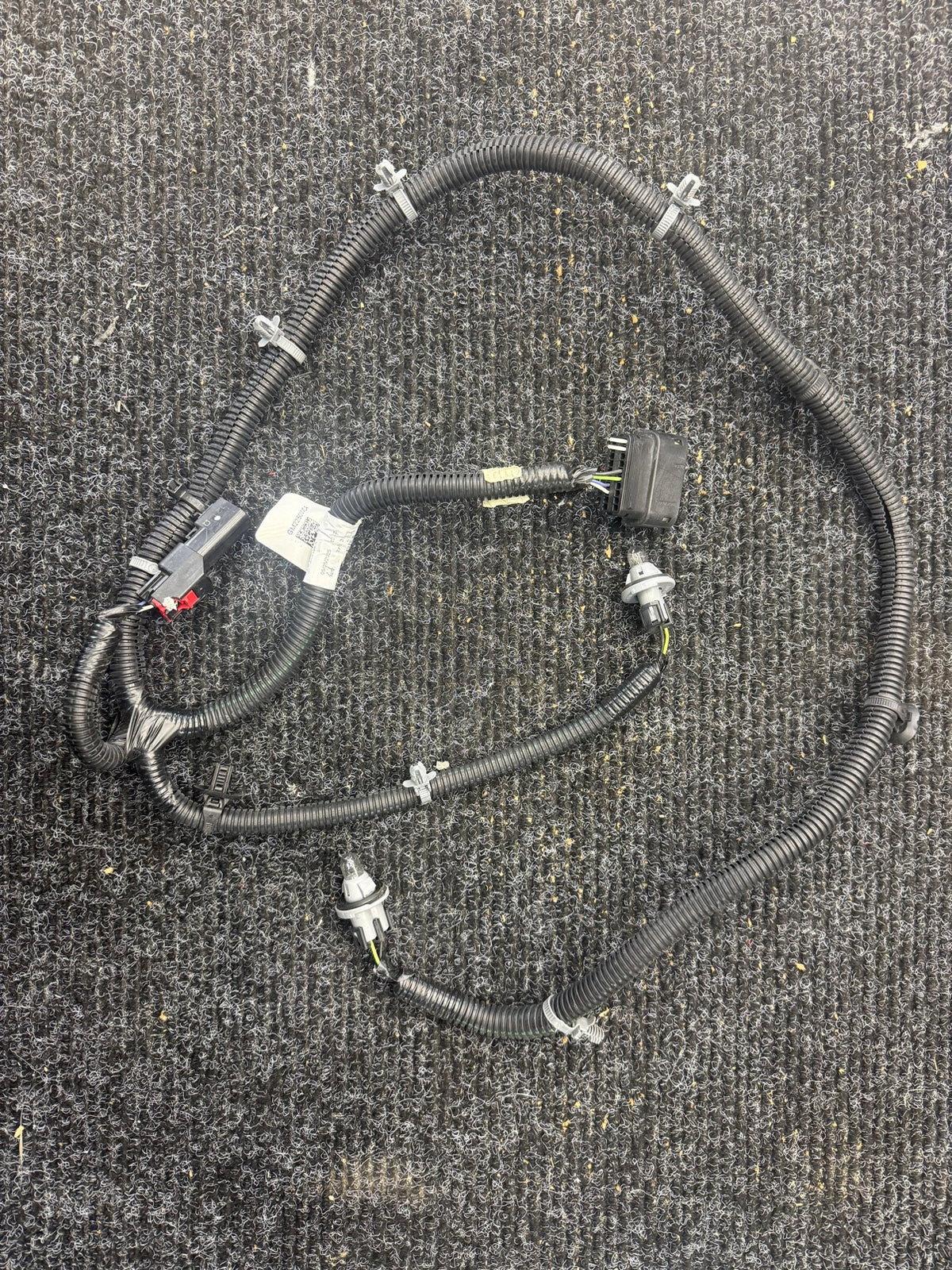 2023-2025 Silverado Sierra License Plate Light Wiring Harness OEM GM2250WCA