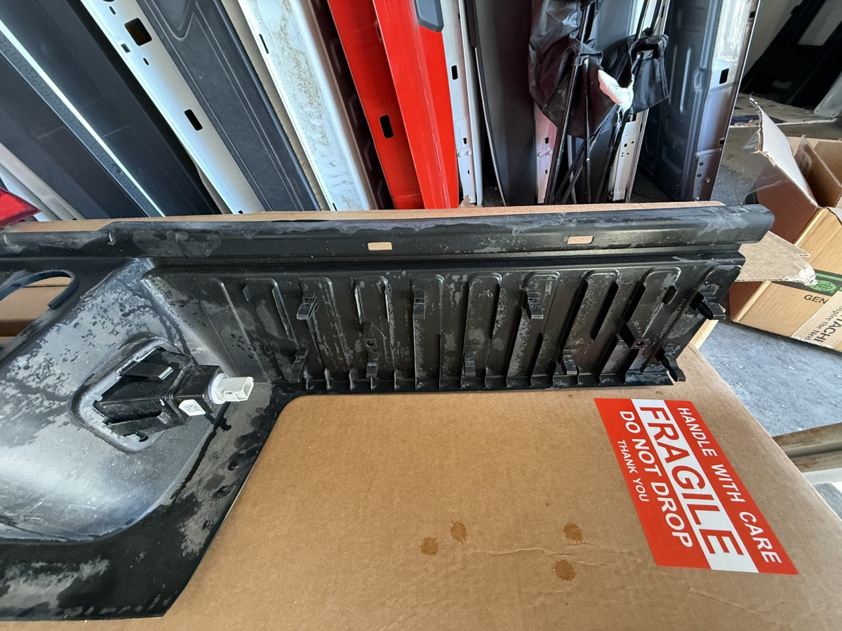 2023-2025 FORD F250 F350 SUPER DUTY OEM REAR BUMPER STEP PAD